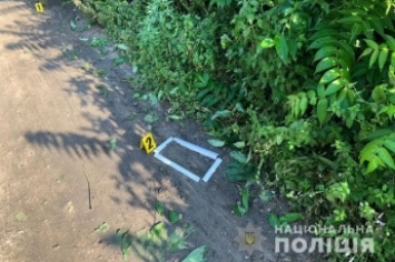 В Николаевской области мужчина лопатой убил бывшего своей возлюбленной