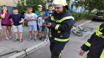 В Каменском спасатели достали ежика из сливной канализации