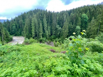 Непогода в Карпатах: из-за ливней исчезло одно из озер в Ивано-Франковской области