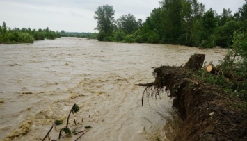 На Тернопольщине пострадавших от паводка нет, ситуация стабилизируется - ОГА