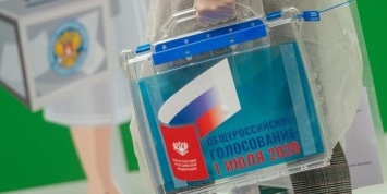Международные эксперты дали первые оценки всероссийского голосования по поправкам