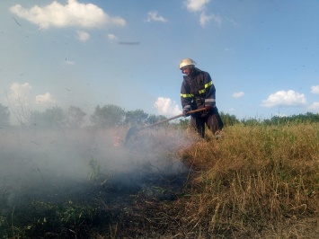 Николаевская область: спасатели ликвидировали 4 пожара на открытой территории площадью 4 тыс. м. кв. (ФОТО)