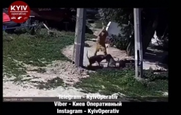 Рубил собак топором: в Киеве произошло жуткое ЧП с агрессивными животными, видео