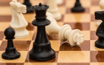 Шахматы обвинили в расизме из-за первого хода белыми