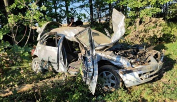 Машина превратилась в груду металлолома: смертельное ДТП в Запорожской области (ФОТО