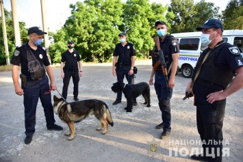 Во время отработки Мариуполя полицейские изъяли оружие и наркотики (видео)