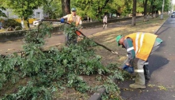 Непогода в Мариуполе: поваленные деревья, остановился электротранспорт
