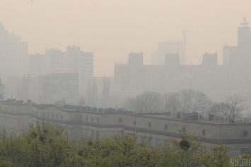 Сильные пылевые бури в Украине связаны с уничтожением лесополос - эколог