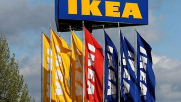 IKEA начала аудит поставщиков древесины в Украине