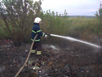 На Николаевщине спасатели потушили пожар пшеницы на корню и 4 пожара сухой травы и мусора (ФОТО)