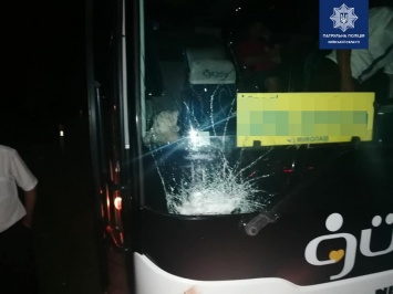 В Киевской области водитель автобуса сбил лося (фото)