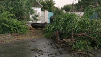 Затопленные дома и разбитые авто: в Херсоне выпала полумесячная норма дождя