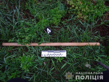 Посреди улицы киевлянина до полусмерти избили палкой
