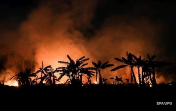 В Амазонии зафиксировали рекордные пожары