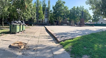 Туристический магнит в центре Николаева: Флотский бульвар превращается в свалку