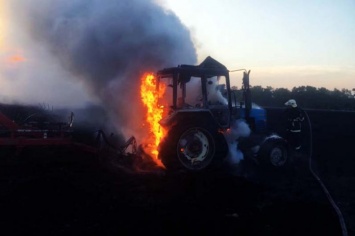 В Петропавловке посевы пшеницы сгорели вместе с трактором