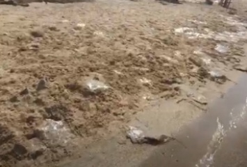 Небывалое нашествие - медузы заполонили пляжи Азовского моря (видео)
