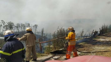 В Юрьевском районе потушили возгорание экосистемы