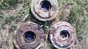 В центре Кривого Рога нашли три противотанковые мины