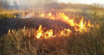 В Запорожской области тушили 57 пожаров на открытых территориях