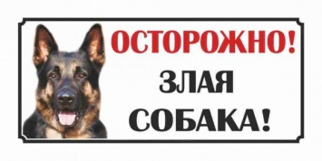 Житель Херсонщины отсудил деньги у владельца злой собаки