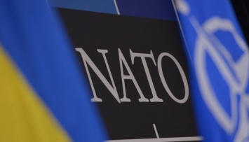 Возобновление заседаний Комиссии Украина-НАТО остается на повестке дня - Стефанишина