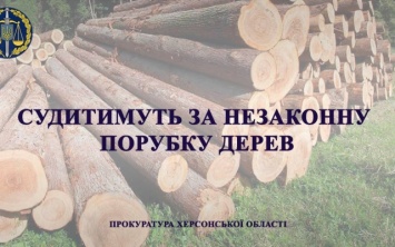 На Херсонщине будут судить двух лесорубов за незаконную вырубку деревьев на 80 тысяч гривен
