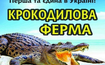 На Арабатке открылась первая в Украине «Крокодиловая ферма»