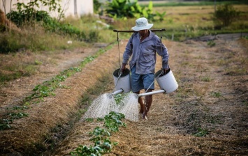 В Раде готовят новый налог для малых фермеров