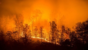 Лесные пожары в США: семь штатов объявили "красный" уровень опасности