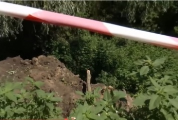 В Сумской области на 13-летнего мальчика рухнула ветка: ребенок погиб