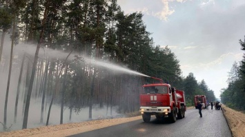 Огромный лесной пожар в Луганской области тушат спасатели из четырех областей (видео)