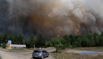 Лесной пожар добрался до Северодонецка, полиция перекрывает дороги