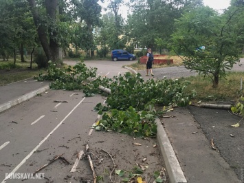 На Одессу надвигается сильная гроза: ветер уже повалил деревья