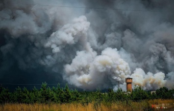 Появились фото и видео смертельных лесных пожаров в Луганской области