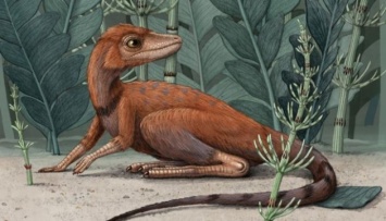 На Мадагаскаре нашли останки крошечного предка динозавров