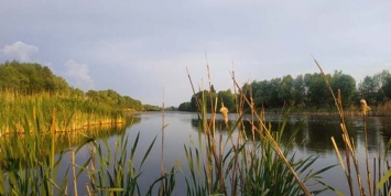 В Днепре собрались облагородить озеро возле Левобережного-3