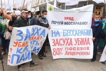 "Засуха убила урожай, уничтожит и фермеров". В Киеве аграрии требуют обещанной компенсации