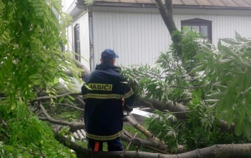 Непогода на Хмельнитчине повалила деревья и смыла дороги