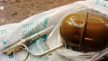 Томаковском районе 39-летний мужчина в гараже хранил две гранаты и запал