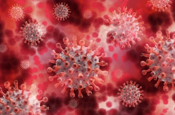 Ученые рассказали он скором появлении нового коронавируса: перейдет от животных к человеку