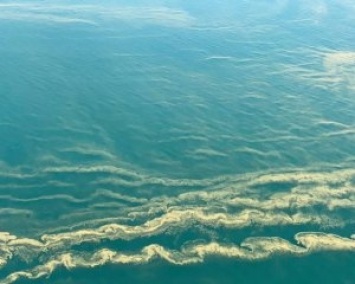 Черное море может погибнуть через 10-20 лет - эколог