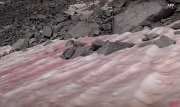 В Альпах появился розовый лед