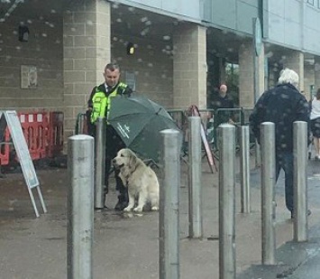 Курьез дня: охранник магазина прославился в Сети, отдав свой зонт собаке