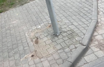 Во Львове коммунальщики нарисовали брусчатку на бетоне, чтобы не класть новую