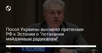 Посол Украины высмеял претензии РФ к Эстонии о "потакании майданным радикалам"