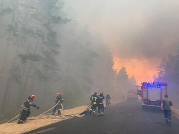 В Луганской области бушует масштабный лесной пожар - фото, видео