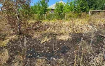 В Харьковской области пенсионерка сгорела, пытаясь выжечь сухую траву