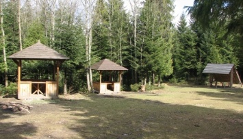 В лесах Львовщины для туристов обустроили 19 пикник-локаций