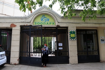 Посетительница одесского зоопарка забралась в вольер и помешала родам косули: детеныш погиб